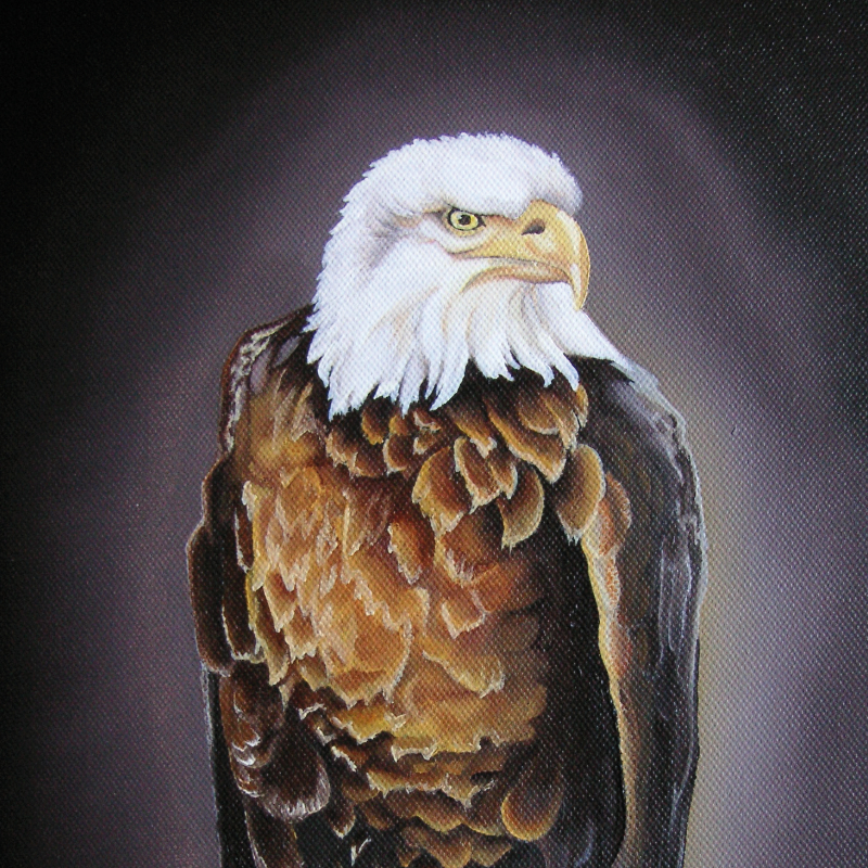 Gemalter Weißkopfseeadler